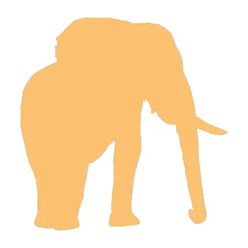 Samolepící dekorace Slon 007 pravá (08 - béžová) SAMOLEPKA NA AUTO, NÁLEPKA, FÓLIE, POLEP, TUNING, VLASTNÍ TEXT, TISK, AUTOSAMOLEPKY.cz, POLEPY, OBRÁZEK, LOGO, 3D STICKERS