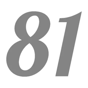 Polep vozidla Startovní číslo 81 typ 3 (17 - šedá) SAMOLEPKA NA AUTO, NÁLEPKA, FÓLIE, POLEP, TUNING, VLASTNÍ TEXT, TISK, AUTOSAMOLEPKY.cz, POLEPY, OBRÁZEK, LOGO, 3D STICKERS