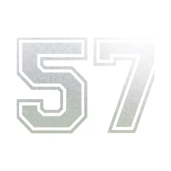 Polep vozidla Startovní číslo 57 typ 4 (60 - pískované sklo) SAMOLEPKA NA AUTO, NÁLEPKA, FÓLIE, POLEP, TUNING, VLASTNÍ TEXT, TISK, AUTOSAMOLEPKY.cz, POLEPY, OBRÁZEK, LOGO, 3D STICKERS