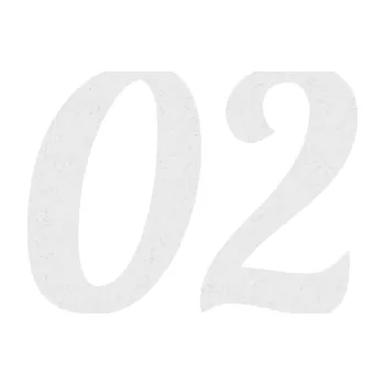 Polep vozidla Startovní číslo 02 typ 3 (84 - Ultra Metalic bílá) SAMOLEPKA NA AUTO, NÁLEPKA, FÓLIE, POLEP, TUNING, VLASTNÍ TEXT, TISK, AUTOSAMOLEPKY.cz, POLEPY, OBRÁZEK, LOGO, 3D STICKERS