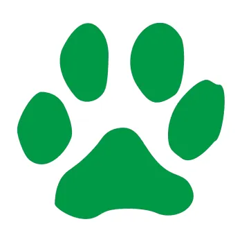 Samolepící dekorace SAMOLEPKA Tlapka 001 pravá (12 - zelená) NA AUTO, NÁLEPKA, FÓLIE, POLEP, TUNING, VLASTNÍ TEXT, TISK, AUTOSAMOLEPKY.cz, POLEPY, OBRÁZEK, LOGO, SAMOLEPKY