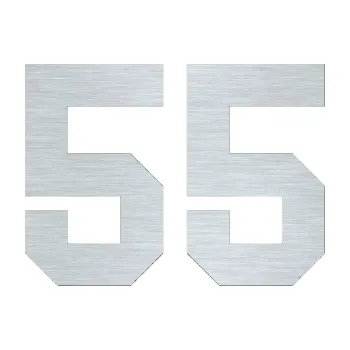 Polep vozidla Startovní číslo 55 (61 - škrábaný hliník) SAMOLEPKA NA AUTO, NÁLEPKA, FÓLIE, POLEP, TUNING, VLASTNÍ TEXT, TISK, AUTOSAMOLEPKY.cz, POLEPY, OBRÁZEK, LOGO, 3D STICKERS