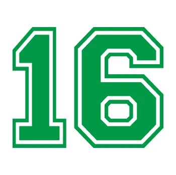 Polep vozidla Startovní číslo 16 typ 4 (12 - zelená) SAMOLEPKA NA AUTO, NÁLEPKA, FÓLIE, POLEP, TUNING, VLASTNÍ TEXT, TISK, AUTOSAMOLEPKY.cz, POLEPY, OBRÁZEK, LOGO, 3D STICKERS