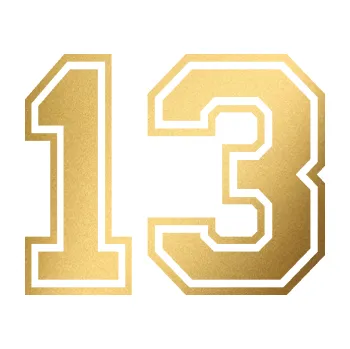 Polep vozidla Startovní číslo 13 typ 4 (43 - zlatá metalíza) SAMOLEPKA NA AUTO, NÁLEPKA, FÓLIE, POLEP, TUNING, VLASTNÍ TEXT, TISK, AUTOSAMOLEPKY.cz, POLEPY, OBRÁZEK, LOGO, 3D STICKERS