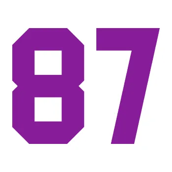 Polep vozidla SAMOLEPKA Startovní číslo 87 (14 - fialová) NA AUTO, NÁLEPKA, FÓLIE, POLEP, TUNING, VLASTNÍ TEXT, TISK, AUTOSAMOLEPKY.cz, POLEPY, OBRÁZEK, LOGO, SAMOLEPKY