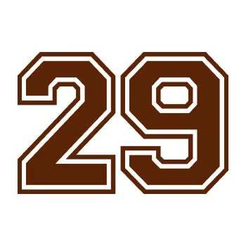 Polep vozidla Startovní číslo 29 typ 4 (15 - hnědá) SAMOLEPKA NA AUTO, NÁLEPKA, FÓLIE, POLEP, TUNING, VLASTNÍ TEXT, TISK, AUTOSAMOLEPKY.cz, POLEPY, OBRÁZEK, LOGO, 3D STICKERS