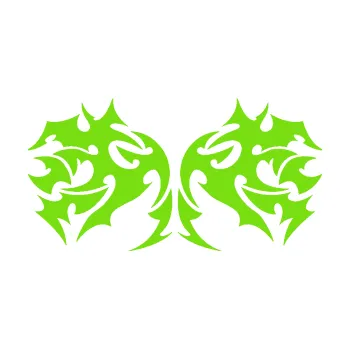 Polep vozidla Tetování 197 (04 - zelená kawasaki) SAMOLEPKA NA AUTO, NÁLEPKA, FÓLIE, POLEP, TUNING, VLASTNÍ TEXT, TISK, AUTOSAMOLEPKY.cz, POLEPY, OBRÁZEK, LOGO, 3D STICKERS