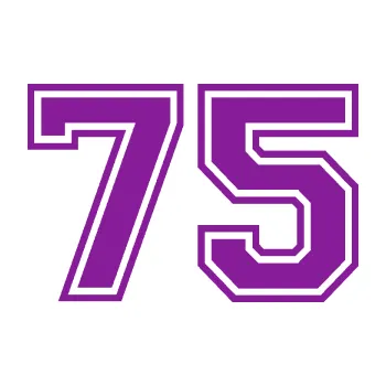 Polep vozidla Startovní číslo 75 typ 4 (14 - fialová) SAMOLEPKA NA AUTO, NÁLEPKA, FÓLIE, POLEP, TUNING, VLASTNÍ TEXT, TISK, AUTOSAMOLEPKY.cz, POLEPY, OBRÁZEK, LOGO, 3D STICKERS