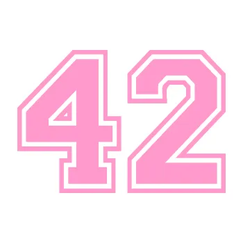 Polep vozidla Startovní číslo 42 typ 4 (24 - světle růžová) SAMOLEPKA NA AUTO, NÁLEPKA, FÓLIE, POLEP, TUNING, VLASTNÍ TEXT, TISK, AUTOSAMOLEPKY.cz, POLEPY, OBRÁZEK, LOGO, 3D STICKERS