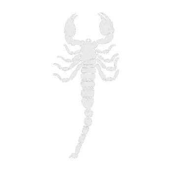 Polep vozidla SAMOLEPKA Štír 010 pravá (84 - Ultra Metalic bílá) NA AUTO, NÁLEPKA, FÓLIE, POLEP, TUNING, VLASTNÍ TEXT, TISK, AUTOSAMOLEPKY.cz, POLEPY, OBRÁZEK, LOGO, SAMOLEPKY