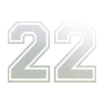 Polep vozidla Startovní číslo 22 typ 4 (60 - pískované sklo) SAMOLEPKA NA AUTO, NÁLEPKA, FÓLIE, POLEP, TUNING, VLASTNÍ TEXT, TISK, AUTOSAMOLEPKY.cz, POLEPY, OBRÁZEK, LOGO, 3D STICKERS