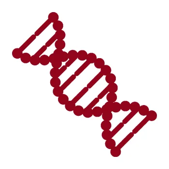 samolepka Vzorec DNA levá (07 - bordó vínová) SAMOLEPKA NA AUTO, NÁLEPKA, FÓLIE, POLEP, TUNING, VLASTNÍ TEXT, TISK, AUTOSAMOLEPKY.cz, POLEPY, OBRÁZEK, LOGO, 3D STICKERS