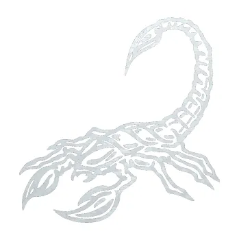 Polep vozidla SAMOLEPKA Štír 021 levá (51 - 3D karbon bílý) NA AUTO, NÁLEPKA, FÓLIE, POLEP, TUNING, VLASTNÍ TEXT, TISK, AUTOSAMOLEPKY.cz, POLEPY, OBRÁZEK, LOGO, SAMOLEPKY