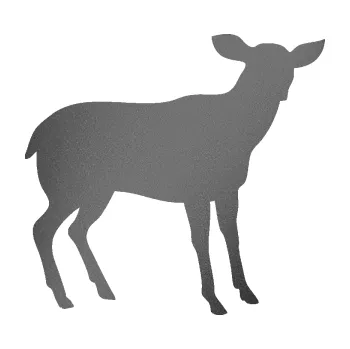 Samolepící dekorace SAMOLEPKA Srna 001 pravá (41 - grafitová metalíza) NA AUTO, NÁLEPKA, FÓLIE, POLEP, TUNING, VLASTNÍ TEXT, TISK, AUTOSAMOLEPKY.cz, POLEPY, OBRÁZEK, LOGO, SAMOLEPKY