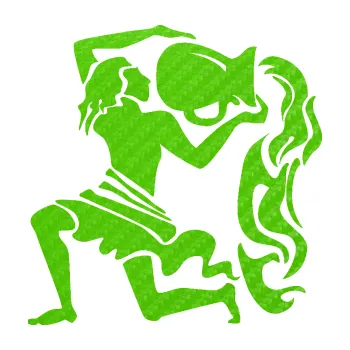 Samolepící dekorace SAMOLEPKA Vodnář 005 pravá (58 - 3D karbon zelený kawasaki) NA AUTO, NÁLEPKA, FÓLIE, POLEP, TUNING, VLASTNÍ TEXT, TISK, AUTOSAMOLEPKY.cz, POLEPY, OBRÁZEK, LOGO, SAMOLEPKY