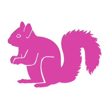 Samolepící dekorace Veverka 001 levá (16 - růžová) SAMOLEPKA NA AUTO, NÁLEPKA, FÓLIE, POLEP, TUNING, VLASTNÍ TEXT, TISK, AUTOSAMOLEPKY.cz, POLEPY, OBRÁZEK, LOGO, 3D STICKERS