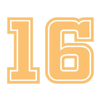 Polep vozidla Startovní číslo 16 typ 5 (08 - béžová) SAMOLEPKA NA AUTO, NÁLEPKA, FÓLIE, POLEP, TUNING, VLASTNÍ TEXT, TISK, AUTOSAMOLEPKY.cz, POLEPY, OBRÁZEK, LOGO, 3D STICKERS