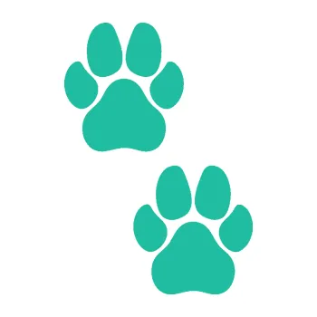 samolepka Tlapky 008 (25 - tyrkysová) SAMOLEPKA NA AUTO, NÁLEPKA, FÓLIE, POLEP, TUNING, VLASTNÍ TEXT, TISK, AUTOSAMOLEPKY.cz, POLEPY, OBRÁZEK, LOGO, 3D STICKERS