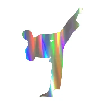 Polep vozidla Taekwondo 002 pravá (93 - Holografická) SAMOLEPKA NA AUTO, NÁLEPKA, FÓLIE, POLEP, TUNING, VLASTNÍ TEXT, TISK, AUTOSAMOLEPKY.cz, POLEPY, OBRÁZEK, LOGO, 3D STICKERS