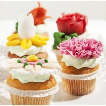 Roll Decor modelovací hmota 2,5kg