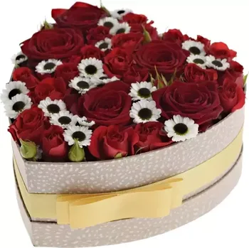 Dárková krabička Krabička květin RED MELANIA šampaň 19x9cm