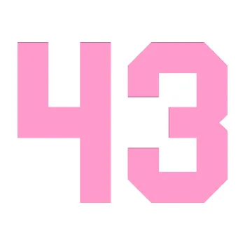 Polep vozidla Startovní číslo 43 (24 - světle růžová) SAMOLEPKA NA AUTO, NÁLEPKA, FÓLIE, POLEP, TUNING, VLASTNÍ TEXT, TISK, AUTOSAMOLEPKY.cz, POLEPY, OBRÁZEK, LOGO, 3D STICKERS