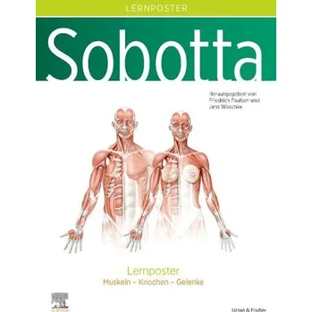 Sobotta Lernposter Anatomie - Paulsen, Friedrich