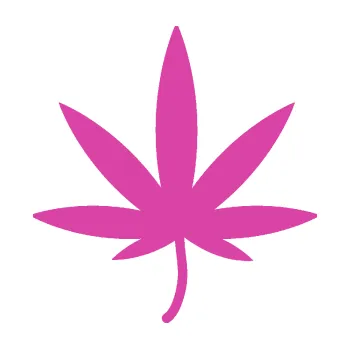 Samolepící dekorace Travka 004 levá (16 - růžová) SAMOLEPKA NA AUTO, NÁLEPKA, FÓLIE, POLEP, TUNING, VLASTNÍ TEXT, TISK, AUTOSAMOLEPKY.cz, POLEPY, OBRÁZEK, LOGO, 3D STICKERS