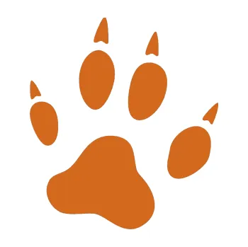 Samolepící dekorace Tlapka 004 pravá (26 - oříšková) SAMOLEPKA NA AUTO, NÁLEPKA, FÓLIE, POLEP, TUNING, VLASTNÍ TEXT, TISK, AUTOSAMOLEPKY.cz, POLEPY, OBRÁZEK, LOGO, 3D STICKERS