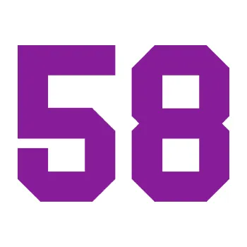 Polep vozidla Startovní číslo 58 (14 - fialová) SAMOLEPKA NA AUTO, NÁLEPKA, FÓLIE, POLEP, TUNING, VLASTNÍ TEXT, TISK, AUTOSAMOLEPKY.cz, POLEPY, OBRÁZEK, LOGO, 3D STICKERS