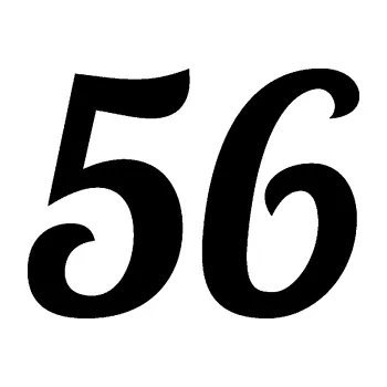 Polep vozidla Startovní číslo 56 typ 3 (01 - černá) SAMOLEPKA NA AUTO, NÁLEPKA, FÓLIE, POLEP, TUNING, VLASTNÍ TEXT, TISK, AUTOSAMOLEPKY.cz, POLEPY, OBRÁZEK, LOGO, 3D STICKERS