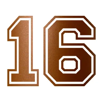 Polep vozidla SAMOLEPKA NA AUTO Startovní číslo 16 typ 4 (44 - měděná metalíza) NÁLEPKA, FÓLIE, POLEP, TUNING, VLASTNÍ TEXT, TISK, AUTOSAMOLEPKY.cz, POLEPY, OBRÁZEK, LOGO, SAMOLEPKY