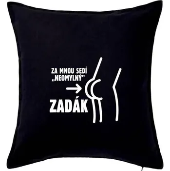Polštář Za mnou sedí zadák - Polštář 50x50 - 50x50 - Včetně výplně ( Černá )