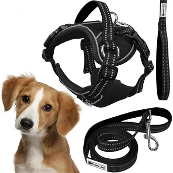 Vodítko pro psa Rea Vodítko a postroj pro psa PJ-055černý M