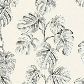 Tapeta Vliesové tapety Greenery listy Monstery černé 37281-2