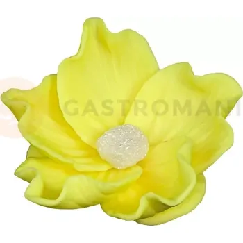 Výroba svíčky Květ divoké růže malý z cukru 8 cm, žlutá | MAGMART, K 014M