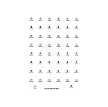 Jedlá dekorace na dort LABUŤ s171