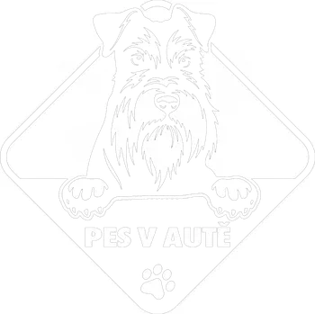 Samolepicí dekorace na vozidlo Pes v autě Knírač samolepka na auto - levandulová / 15x15 cm