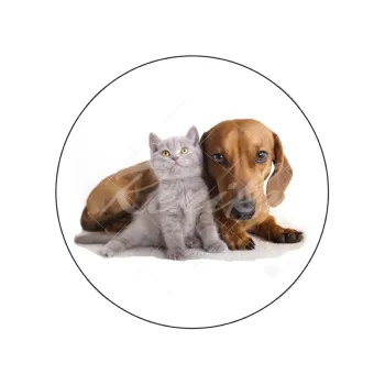 Jedlá dekorace na dort PES A KOČKA, VARIANTA Jedlý papír 224