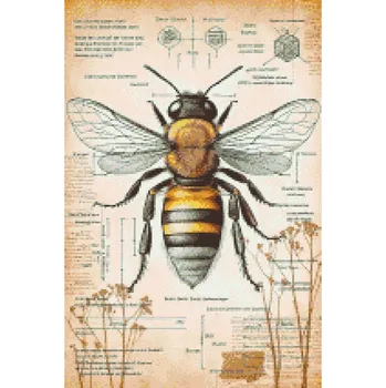 Diamantové malování Diamantové malování - Vše o včelách Velikost: 40x60cm, Rámování: Pouze srolované plátno, Diamanty: Čtvercové