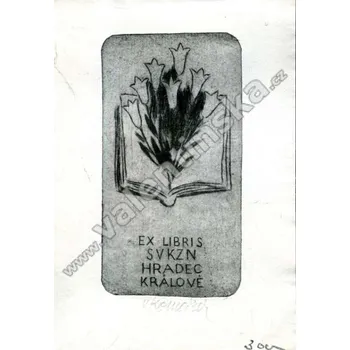 Umění Kniha s tulipány (Vladimír Komárek originální lept - signováno)