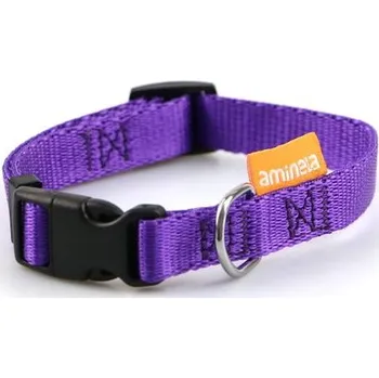 Obojek pro psa Aminela obojek 25mm/40-65cm fialový