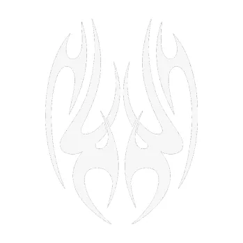 Polep vozidla SAMOLEPKA Kapota 010 (09 - bílá) NA AUTO, NÁLEPKA, FÓLIE, POLEP, TUNING, VLASTNÍ TEXT, TISK, AUTOSAMOLEPKY.cz, POLEPY, OBRÁZEK, LOGO, SAMOLEPKY