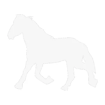 Samolepící dekorace Kůň 002 levá (09 - bílá) SAMOLEPKA NA AUTO, NÁLEPKA, FÓLIE, POLEP, TUNING, VLASTNÍ TEXT, TISK, AUTOSAMOLEPKY.cz, POLEPY, OBRÁZEK, LOGO, 3D STICKERS