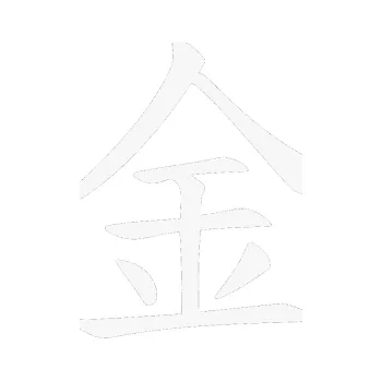 Polep vozidla SAMOLEPKA Čínský znak Gold (09 - bílá) NA AUTO, NÁLEPKA, FÓLIE, POLEP, TUNING, VLASTNÍ TEXT, TISK, AUTOSAMOLEPKY.cz, POLEPY, OBRÁZEK, LOGO, SAMOLEPKY