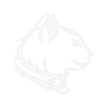 Samolepící dekorace SAMOLEPKA Kočka 003 pravá (09 - bílá) NA AUTO, NÁLEPKA, FÓLIE, POLEP, TUNING, VLASTNÍ TEXT, TISK, AUTOSAMOLEPKY.cz, POLEPY, OBRÁZEK, LOGO, SAMOLEPKY