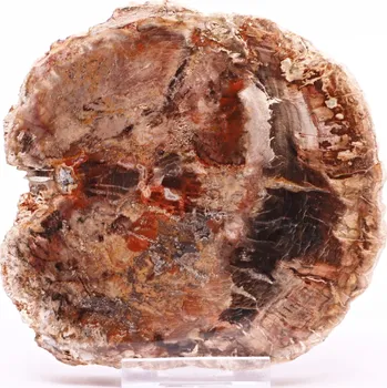 Drahý kámen Magieprirody.cz Zkamenělé dřevo plát 341 g - 11 cm + stojánek #B387 Madagaskar