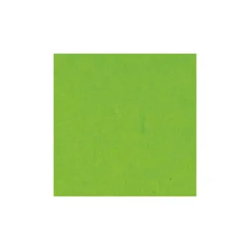 Karton Fotokarton, 50 x 70 cm, 300 g, sv. zelený