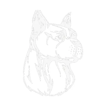 Polep vozidla SAMOLEPKA Pes 017 pravá (09 - bílá) NA AUTO, NÁLEPKA, FÓLIE, POLEP, TUNING, VLASTNÍ TEXT, TISK, AUTOSAMOLEPKY.cz, POLEPY, OBRÁZEK, LOGO, SAMOLEPKY