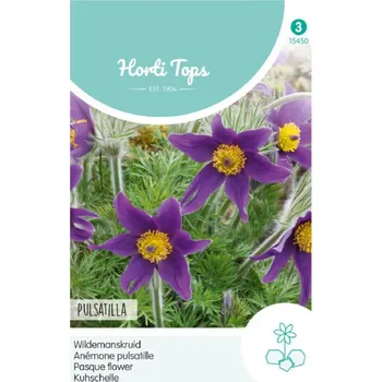 Semeno Semena - KONIKLEC OBYČEJNÝ